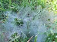 beautiful pics of nature