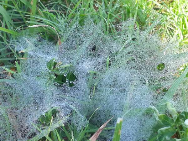 beautiful pics of nature