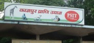 Kanpur