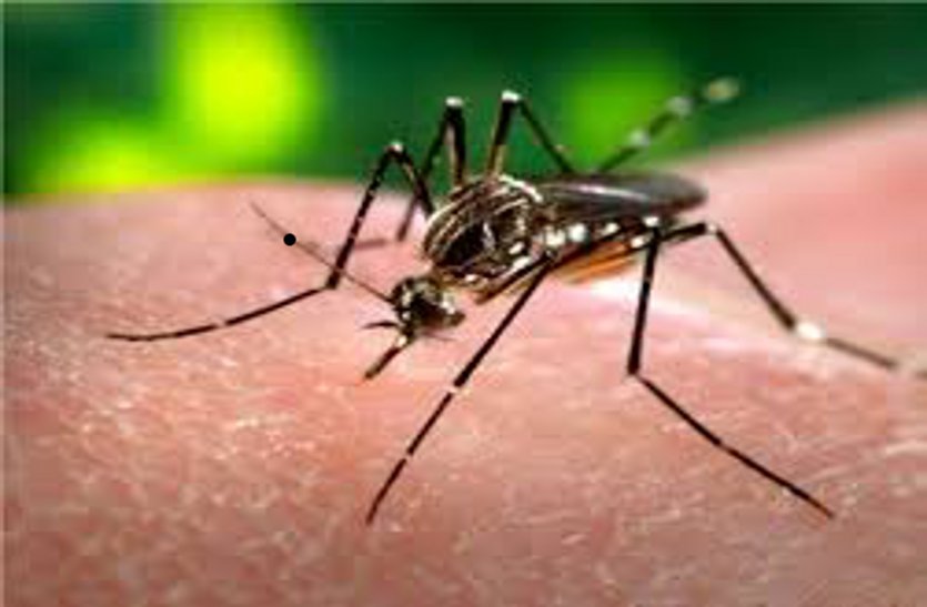 Dangerous dengue two patients found in the district