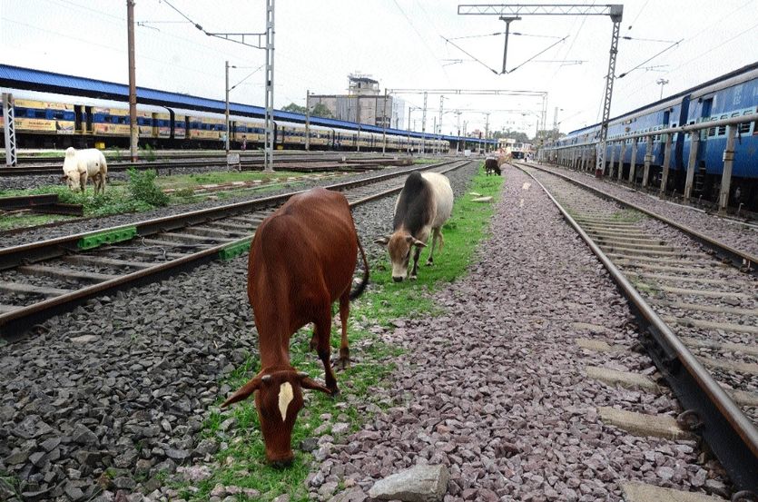 nagaur nwr railway news in hindi 