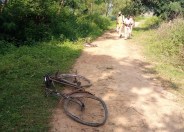 Crushed bicycle