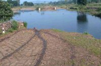 तलाई में युवक डूबा, रेस्क्यू टीम तलाशने में जुटी