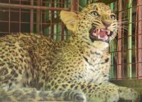 Rajsamand news,Rajsamand Hindi news,Rajsamand local news,rajsamand latest news,