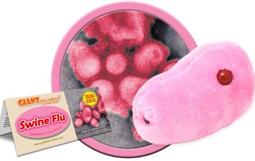Swine flu, fever, illness, patient, virus