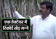 lakhimpur