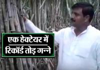 lakhimpur
