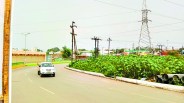 illegal colony