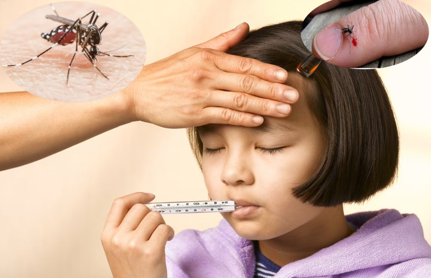 Dengue Fever Causes, Symptoms and Treatment
