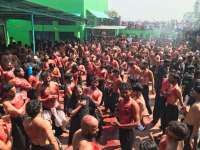 pics of muslim community's mourn on moharam
