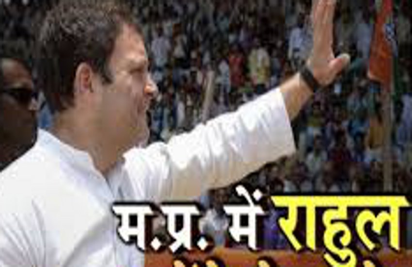 mp assembly election 2018 - rahul gandhi victory plan