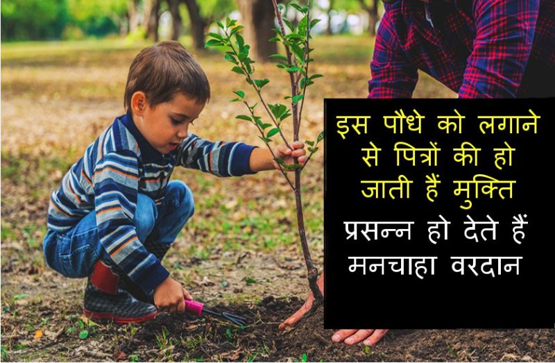 pitro ki mukti ke upay