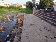 pitru paksha 2018: history of jagatdev talab satna madhya pradesh