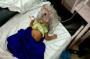 innocent scorch with hot bled in bhilwara