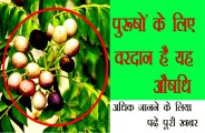 lahsun ke fayde