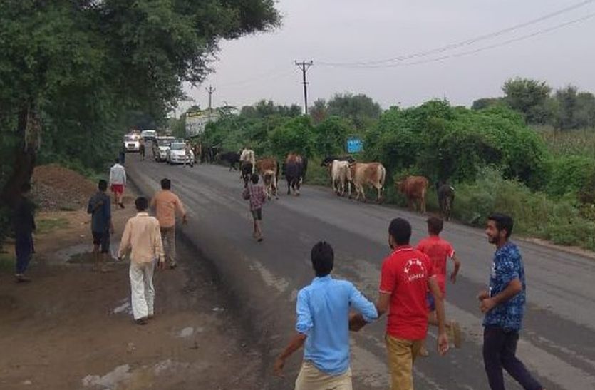 Gaurav yatra in Jhunjhunu