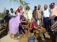 Hindi news Rajsamand,bamniya kala news,rajsamand news,mp rajsamand news,kanya upvan news,