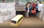 School Bus