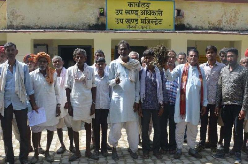 saab barasaat se gal gaee udad kee phasal, do muaavaja