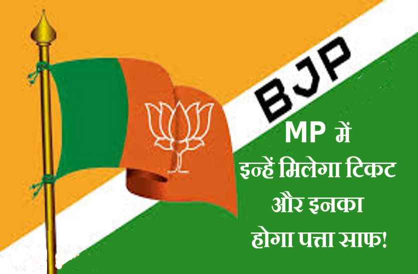 bjp election prepration for MP