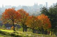 autumn 