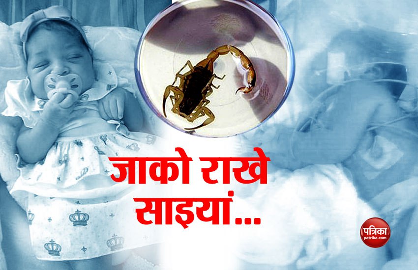 Scorpio stung new born baby