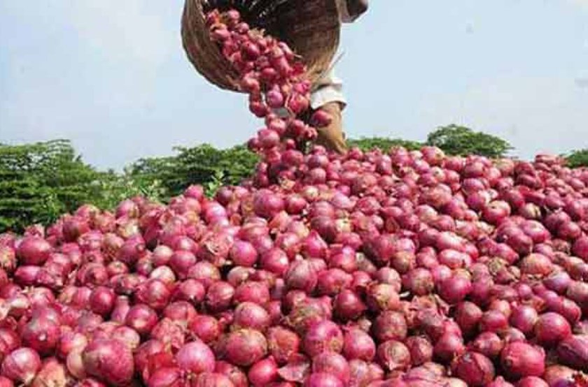 Onion