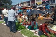 mandhi