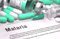 Malaria