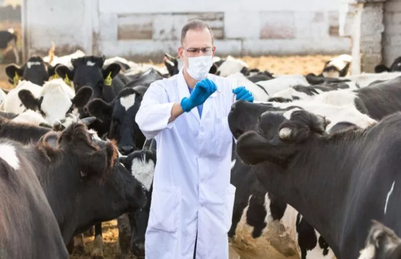 JKPSC Veterinary Assistant Surgeons