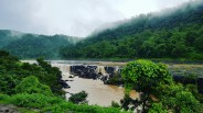 shahdol