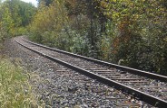 young man jumped in front of train, killed