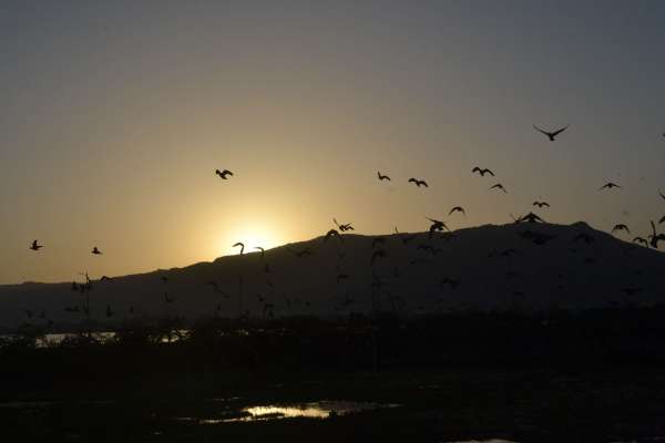 beautiful pics of sunset