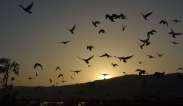 beautiful pics of sunset