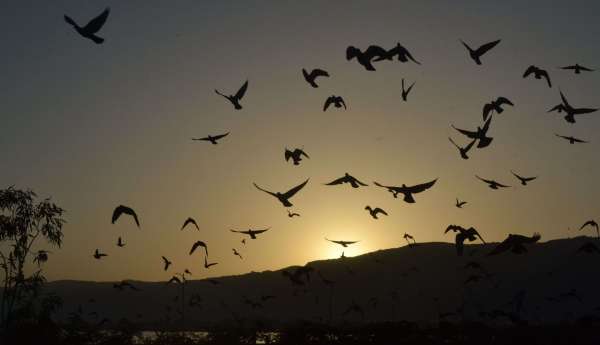 beautiful pics of sunset