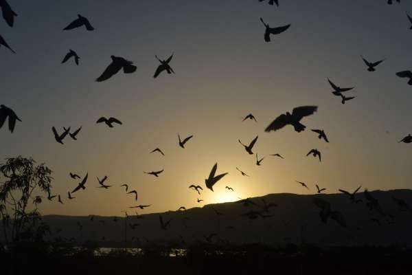 beautiful pics of sunset