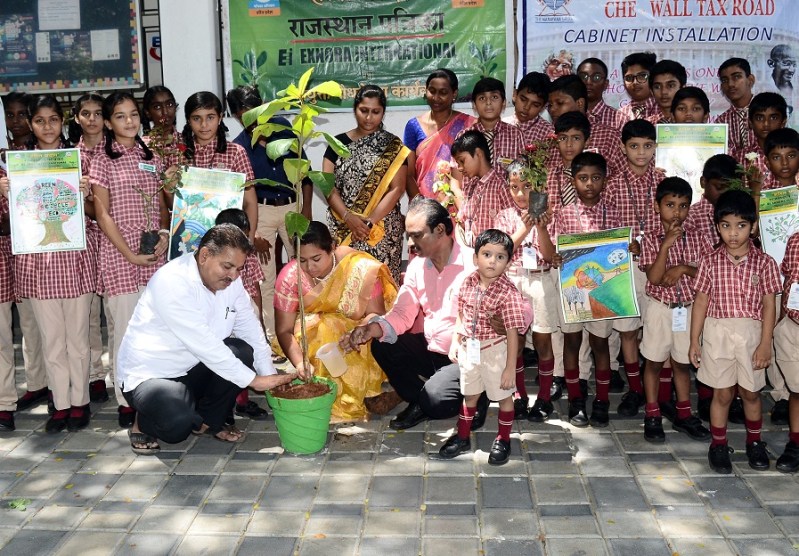 Trees provide soft shade , protect them