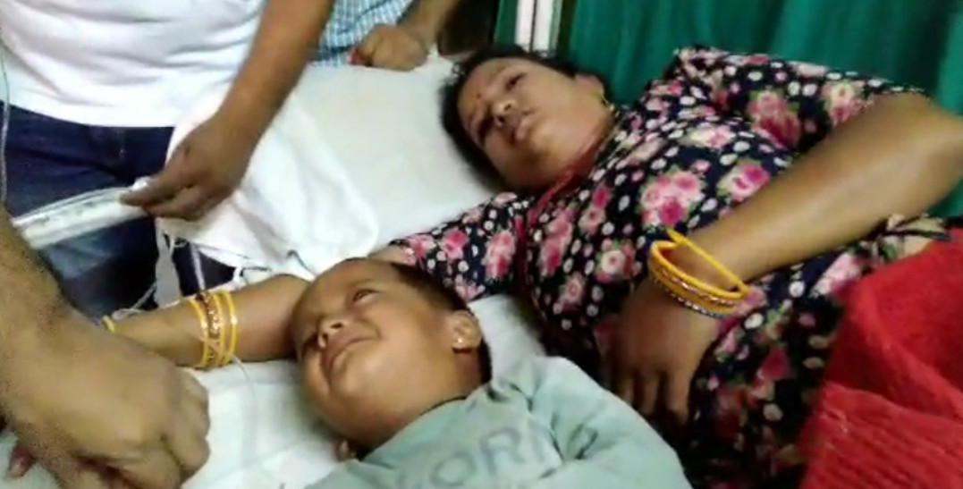 जोधपुर में मधुमक्खियों के हमले में चार जने घायल