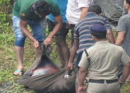 Women dead body