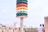 परिंदो की कॉलोनी, फ्लैट्स और अनोखे टावर