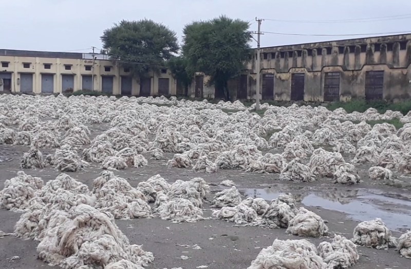 poor condition of biggest wool market of Rajasthan