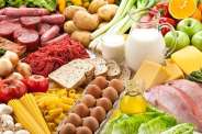 Protein diet 