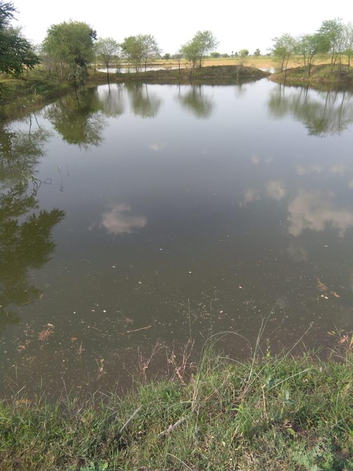 Balram Tal clause still stops pond