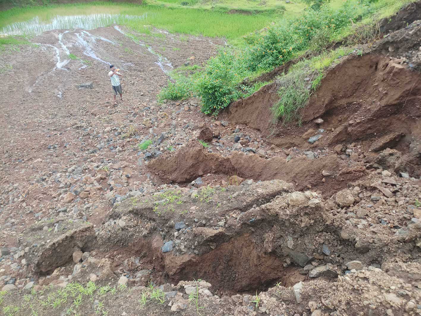 Construction of Crop Damage Suri Construction