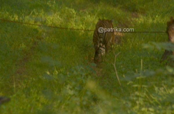 Ranthambor National Park