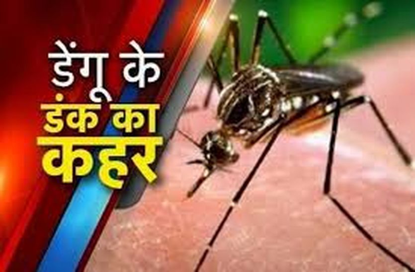 Dengue And Scrub Typhus Danger Increase In Alwar