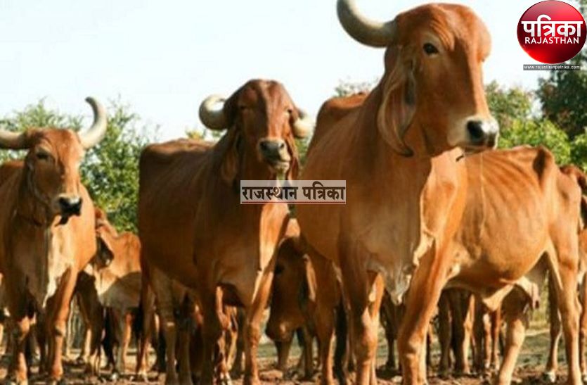 Every animal's breed will get information