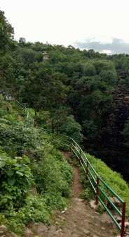 rewa