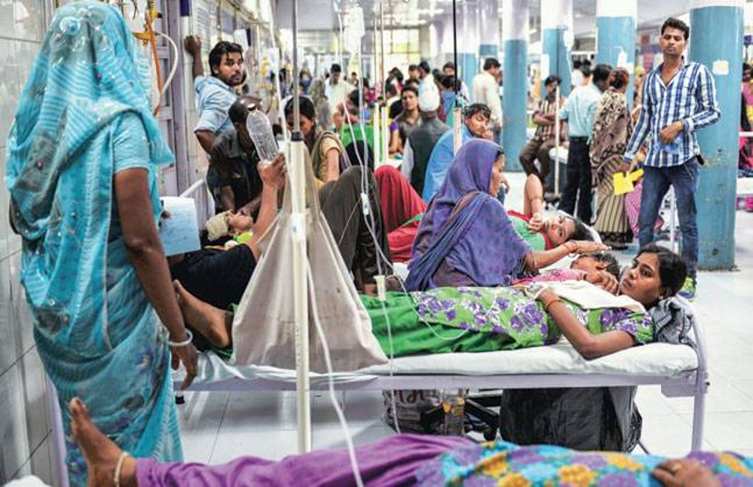 dengue in chhattisgarh