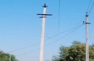 Pali